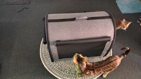 Praktische, graue Katzen / Hunde tragetasche für den Sommer