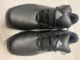 Adidas Golf Schuhe Leder 44,5
