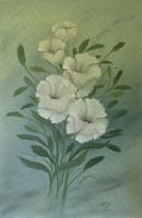 Ölbild auf Leinwand 40cmx60cm, Studienwerk, Weisse Blumen