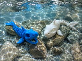 Flexi Shark