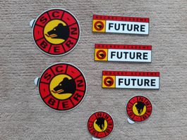 Aufkleber SC Bern