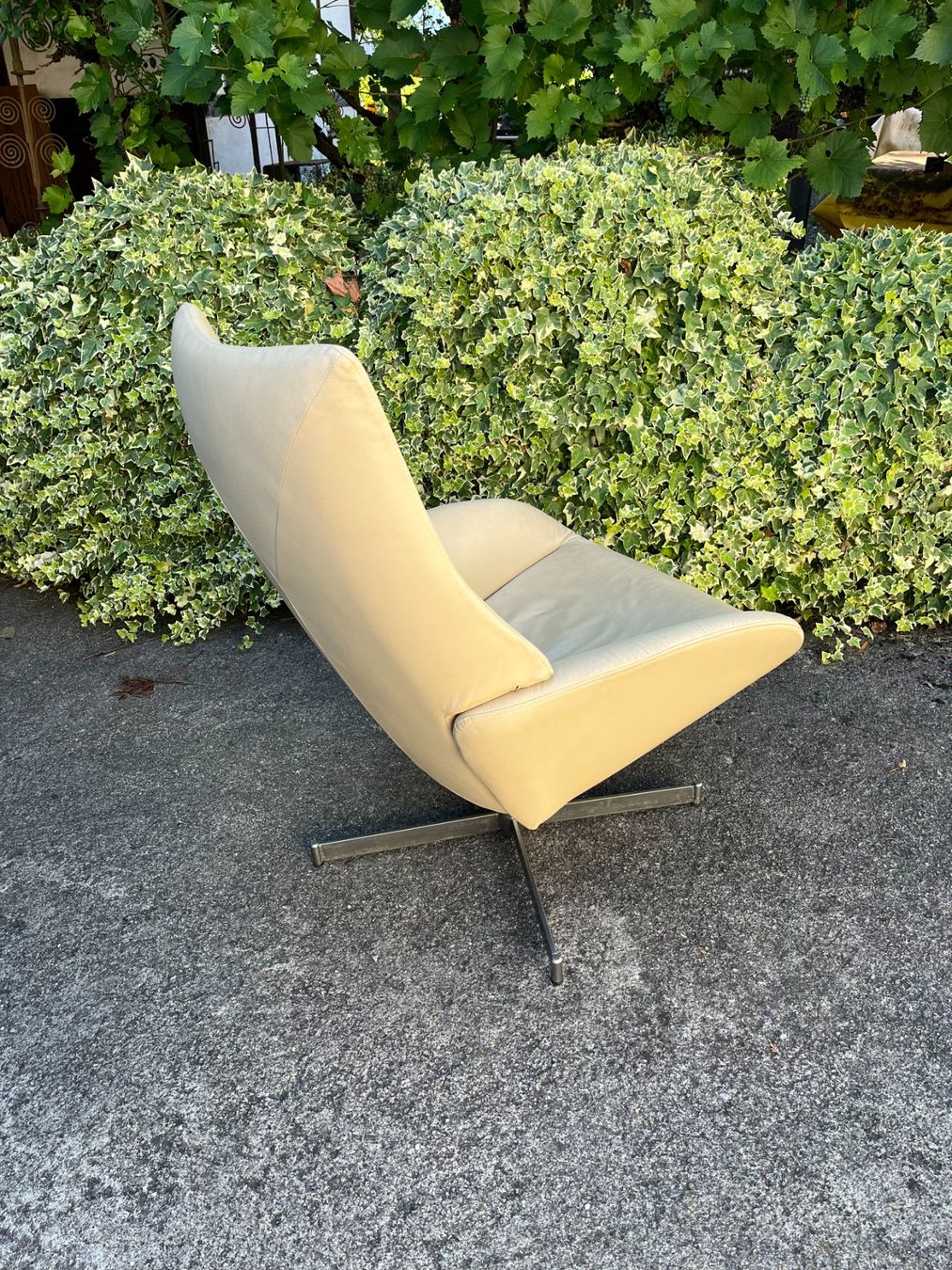 Pfister Poltrone: Ledersessel Lotus von Pfister – Usato da Steffisburg venduto da guidamba 4