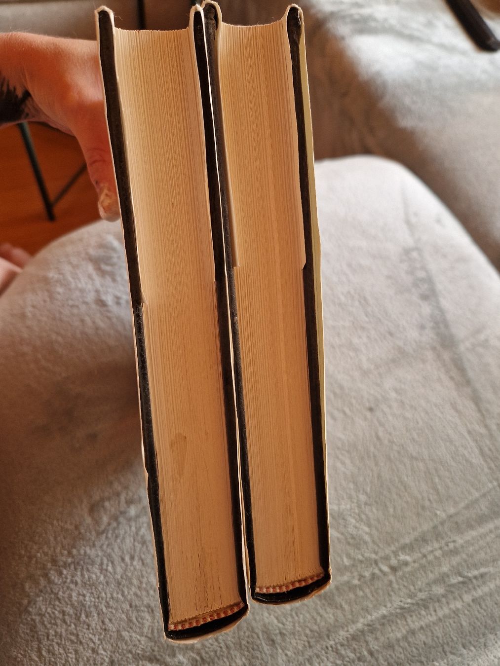 Libri: Larousse Histoire de L'art 1 et 2  – Usato da Les Agettes venduto da Mazikeen 8