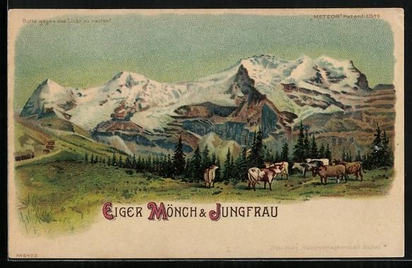Cartoline postali: Litho Eiger, Mönch und Jungfrau, Kühe  – Usato da Berlin venduto da bartko-reher