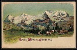 Litho Eiger, Mönch und Jungfrau, Kühe 