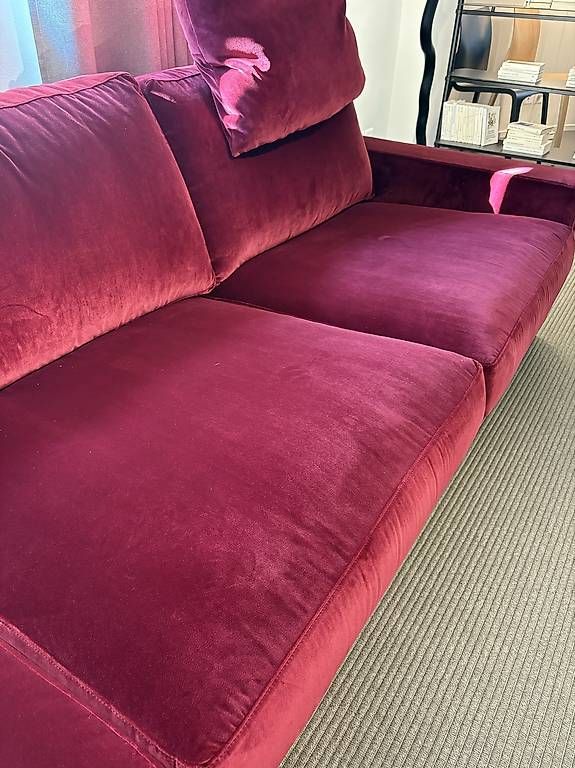 Sofas: Samtsofa Bielefelder Werkstätten – Neuf avec emballage d'origine à Unterägeri par mar_96hk 3