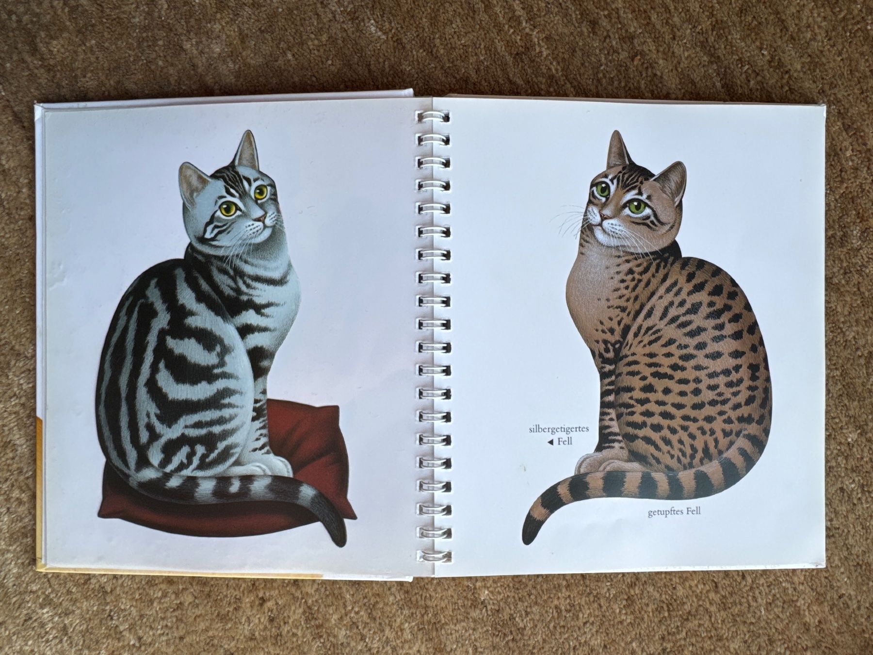 Libri: Meyers - Die Katze – Usato da Aarau venduto da Kilauea 1