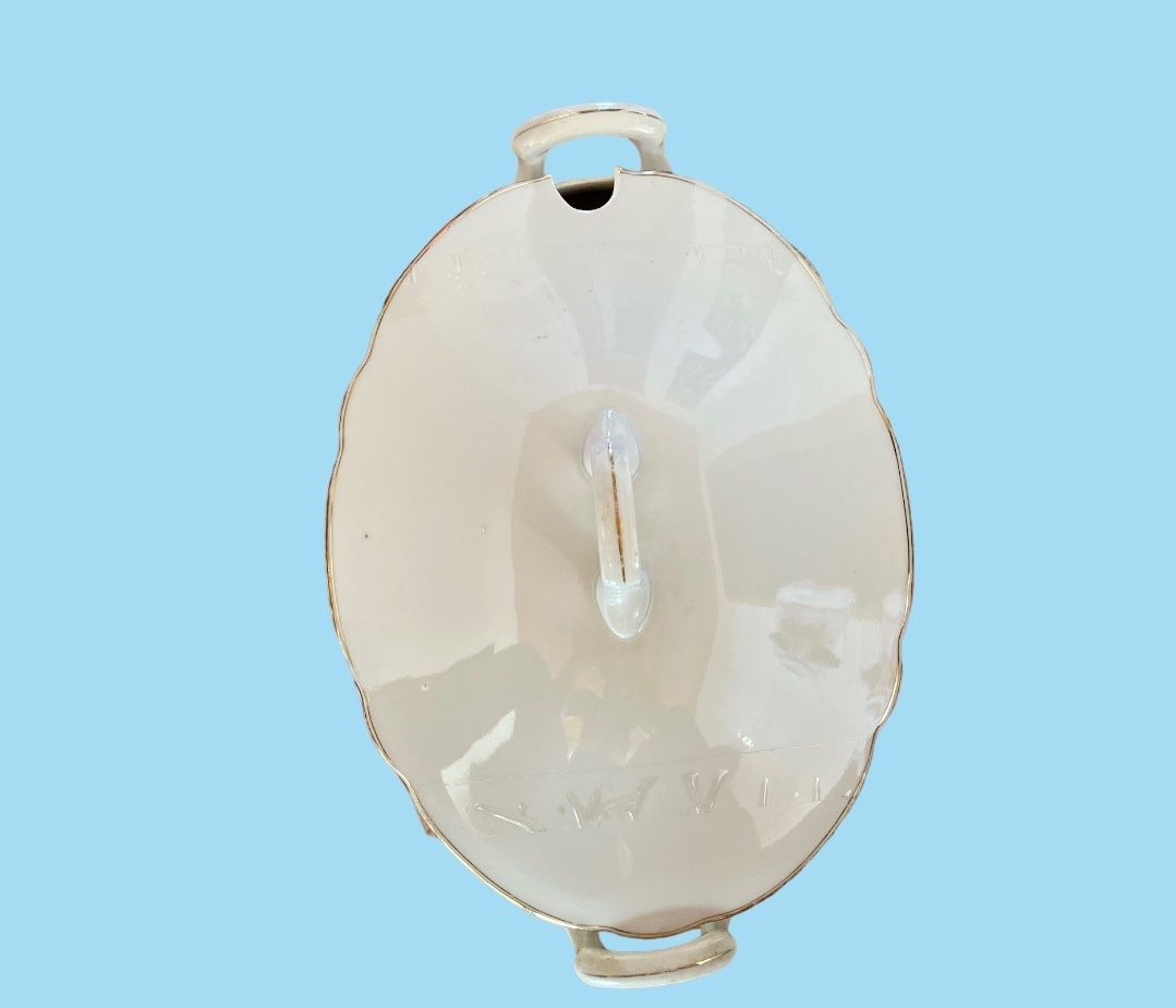 Ciotole: Suppenschüssel 22x31x14cm – Usato da St.Gallen venduto da maierm01 1