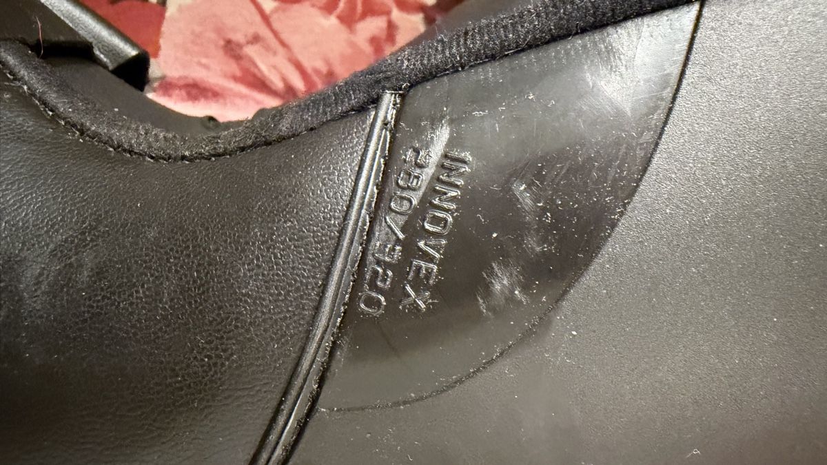 Scarpe da uomo: Dalbello Skischuhe – Usato da Obfelden venduto da tan_9lj9 5