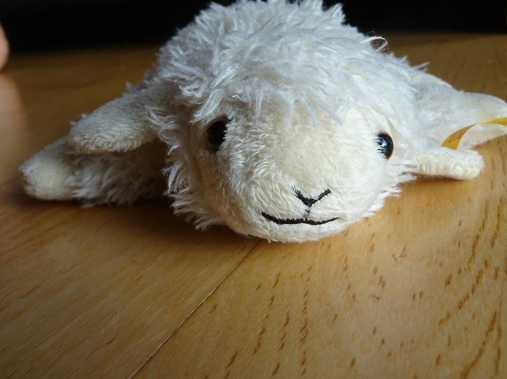 Steiff Jouets: Schaf Steiff – D'occasion à Niederbipp par PiaZ01 3
