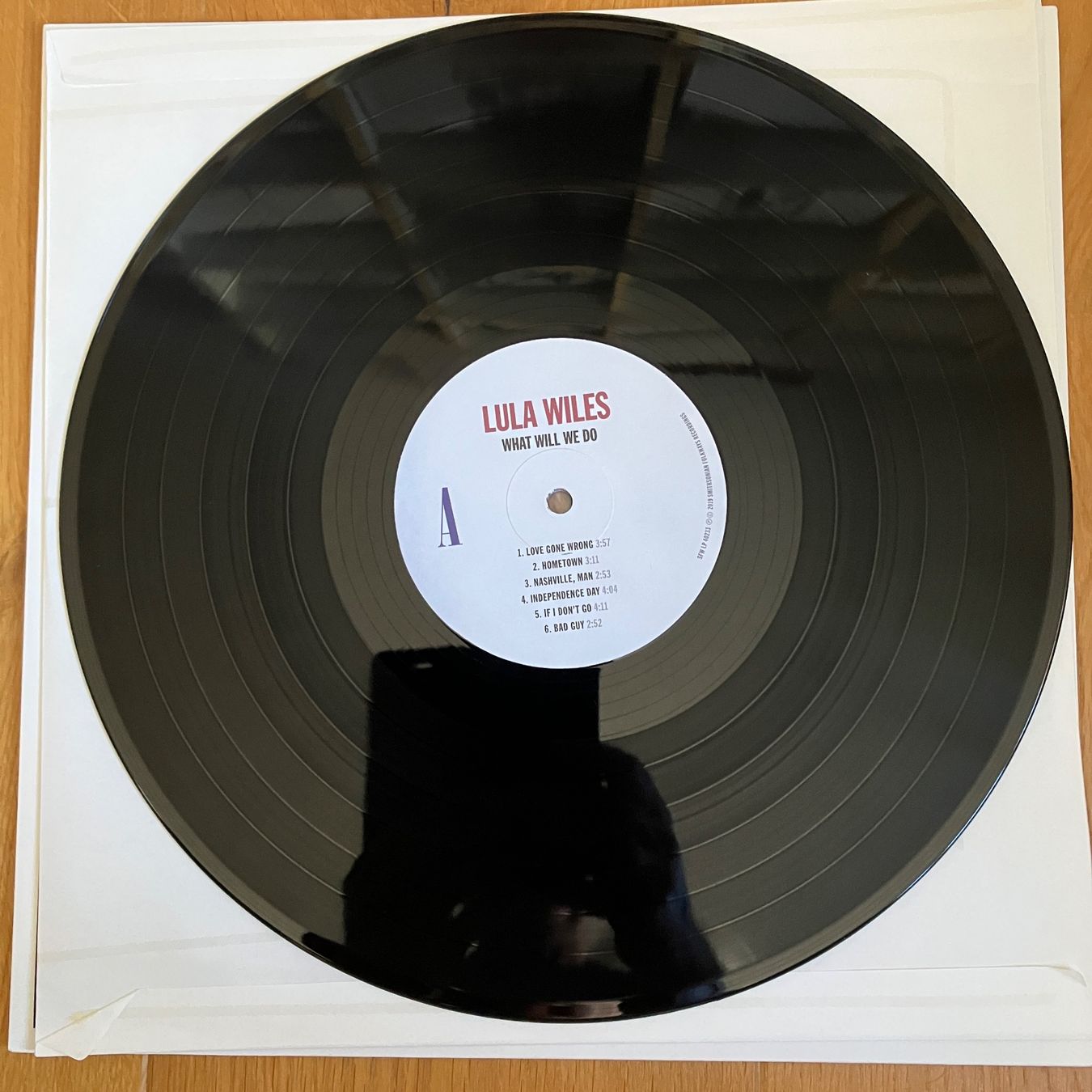 Dischi in vinile: Lula Wiles – What Will We Do – Usato da Altdorf UR venduto da Metallic0 1