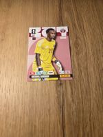 Panini Fussball WM Karten 2026