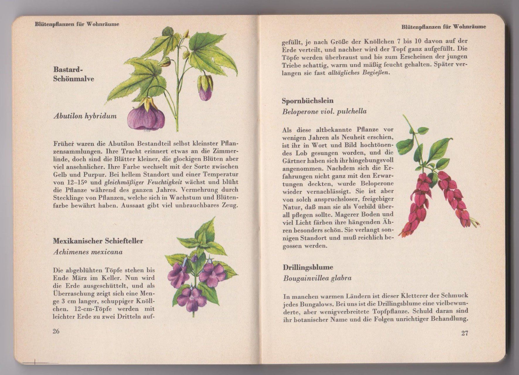 Livres: Es blüht in Haus und Garten 1958 – D'occasion à Bern par Grindelwaldaus 1