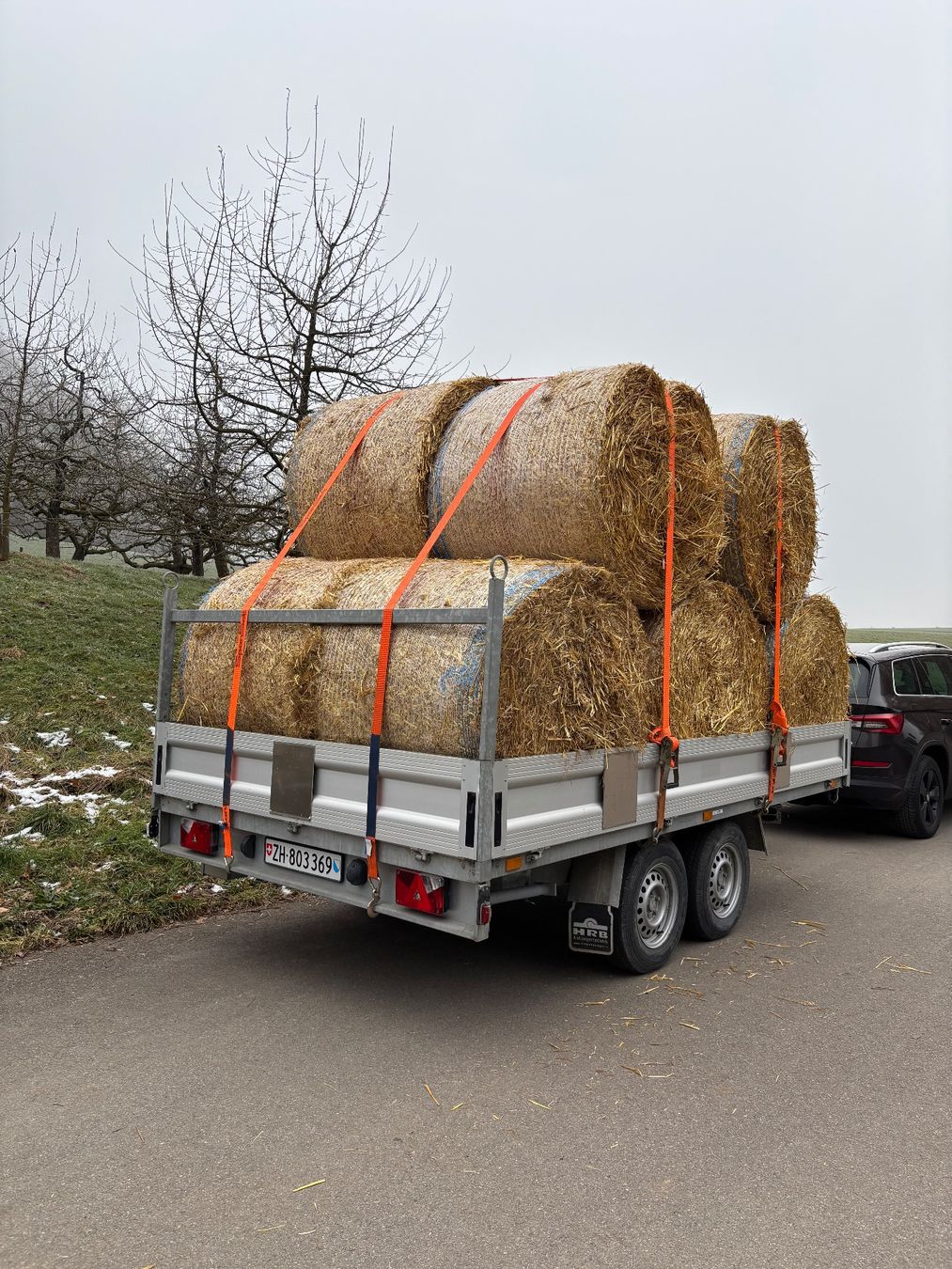 Mangimi: Haferstroh in Rundballen mit Spezialmass – Nuovo e nell'imballaggio originale da Embrach venduto da lukaseckert 3