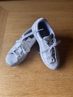 Puma sneaker