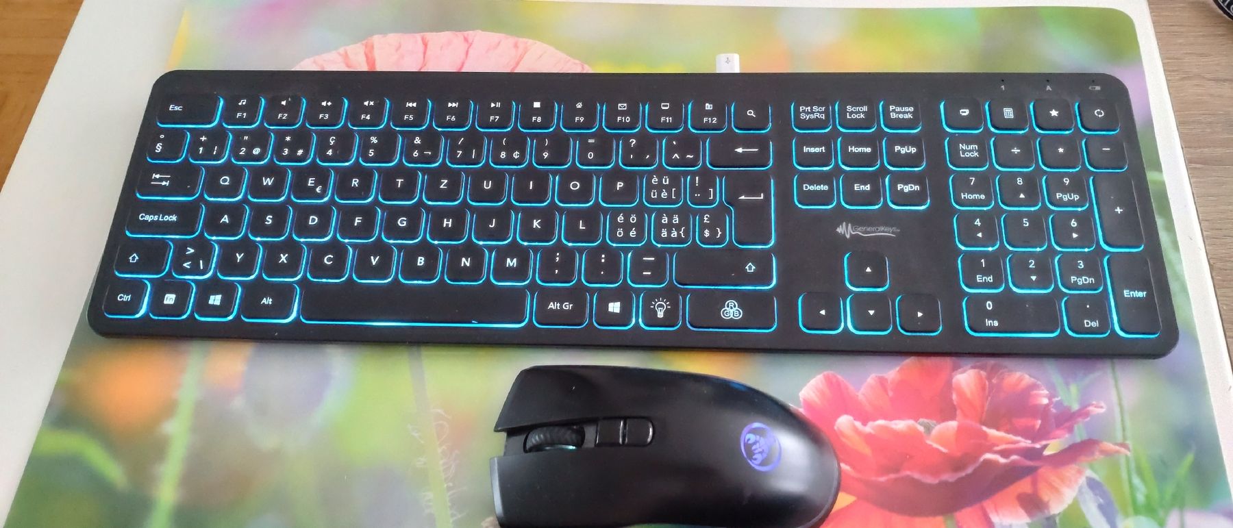 Tastiere: Tastatur und Maus – Usato da Bremgarten AG venduto da irmscherastraH 1