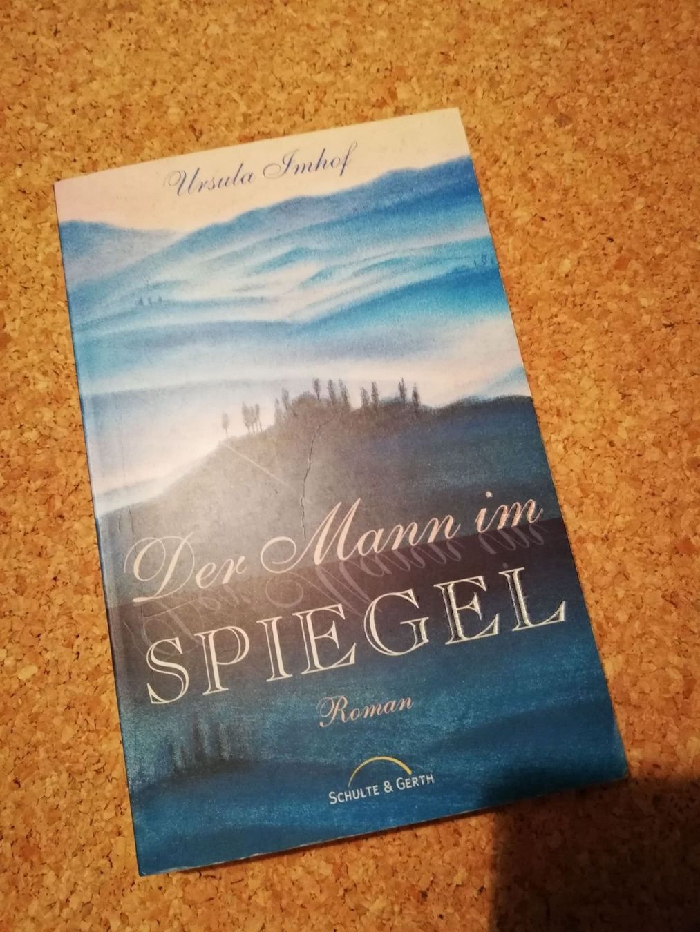 Libri: Der Mann im Spiegel – Usato da Büttikon AG venduto da Amineah