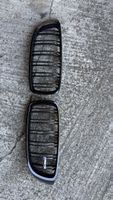 BMW F80 Nieren Grill 