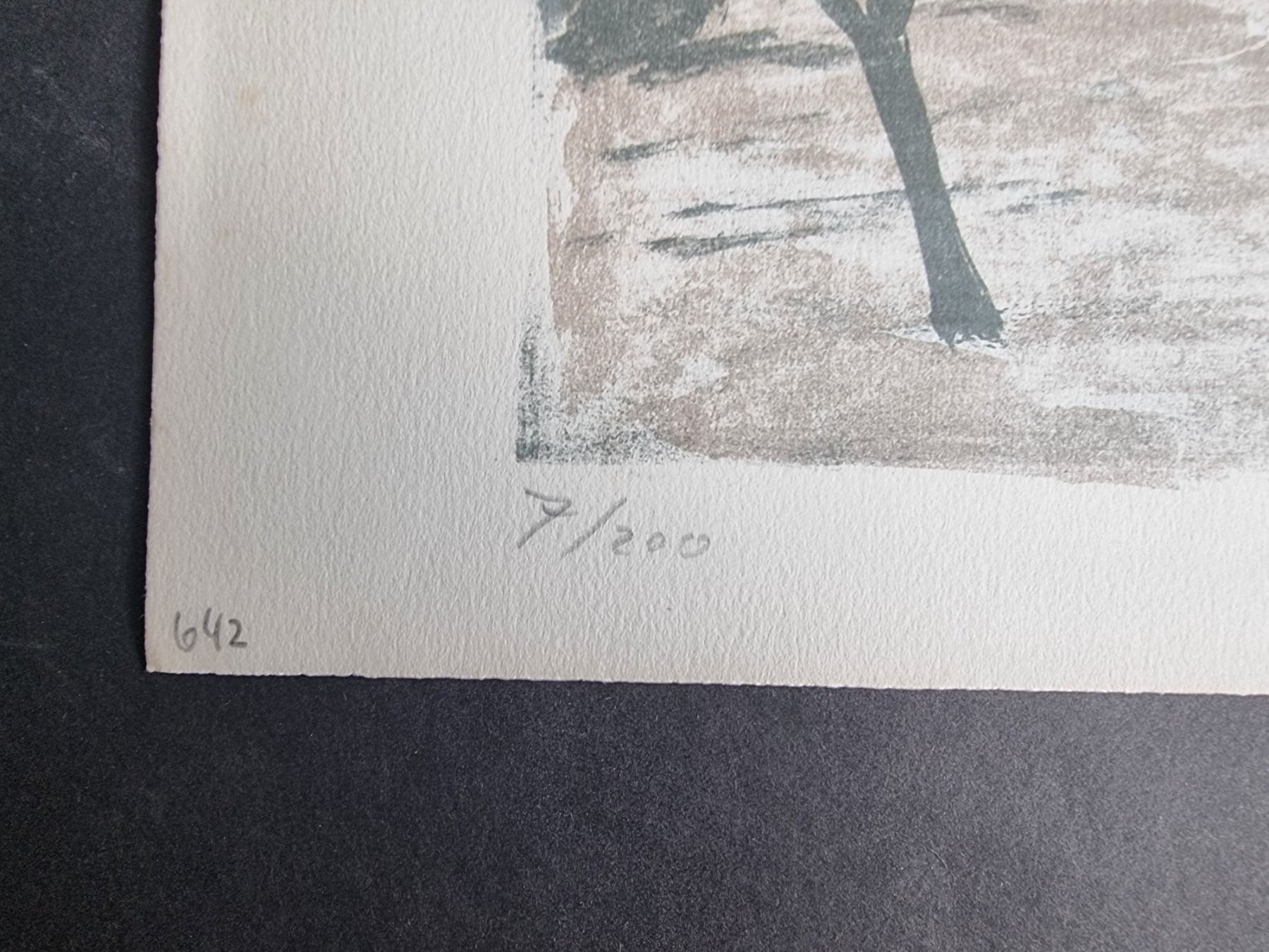 Grafica & Litografie: WALTER SAUTTER  LITHOGRAPHIE SIGNIERT NUMMERIERT – Usato da Gersau venduto da grafik-kunst 1