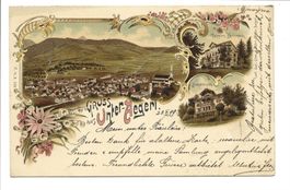 Gruss aus Unterägeri (ZG) Pension Hürlimann - Litho - 1899
