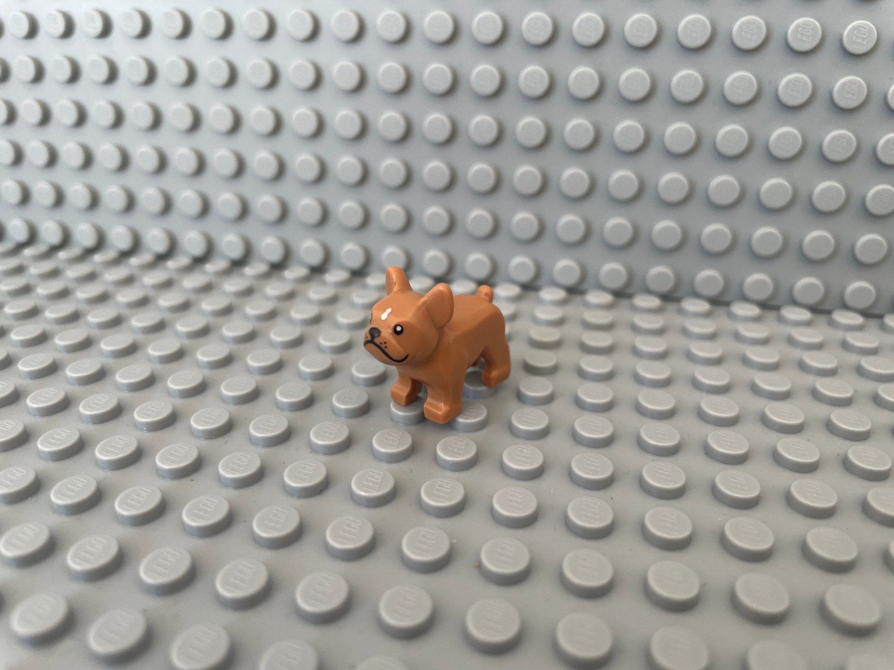 Lego Kit di costruzioni: Lego Tiere - Hund – Nuovo (secondo la descrizione) da Horw venduto da G39517sG