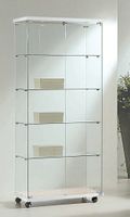 Glasvitrine, ESG Glas, Weiss, LED (B.80cmxT.40cmxH.181cm)
