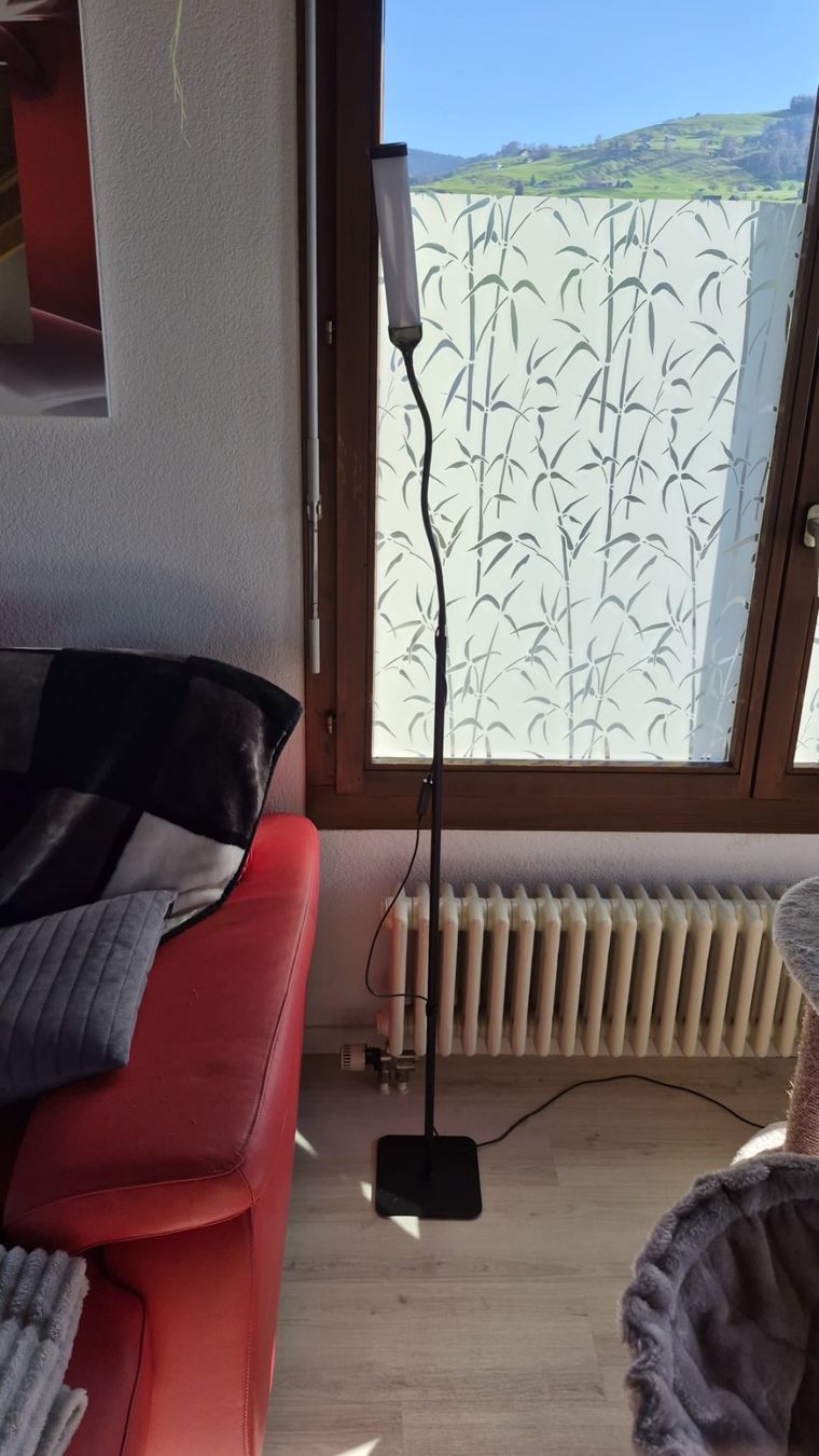 Lampade: Stehlampe schwarz – Usato da Altendorf venduto da Sharysunny 1