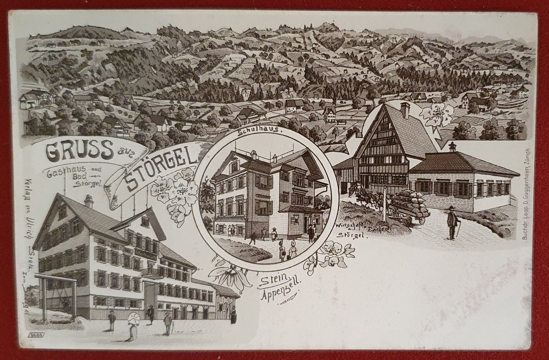 Cartoline postali: Gruss aus Störgel - TOP – Usato da Kreuzlingen venduto da Rschweiz1