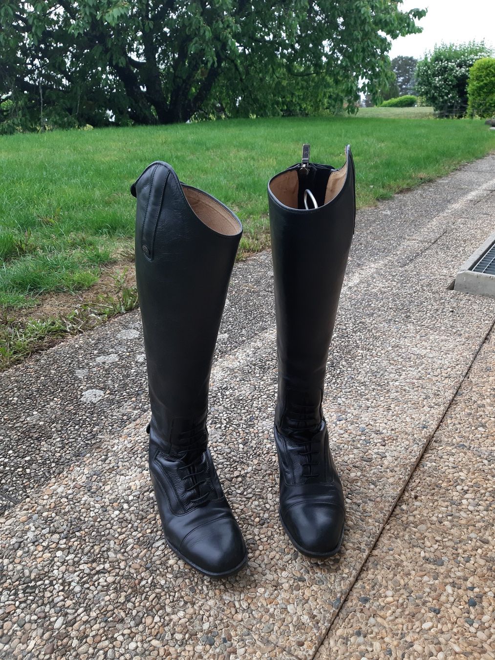 Bottes d'équitation Félix Bühler Milano (bon état) (Gebraucht) in