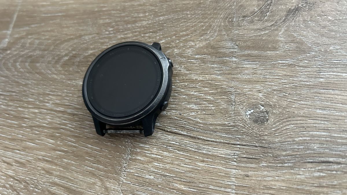 Garmin Smartwatch: Garmin Fenix 6s – Usato da Pfeffikon LU venduto da ckhspm 2