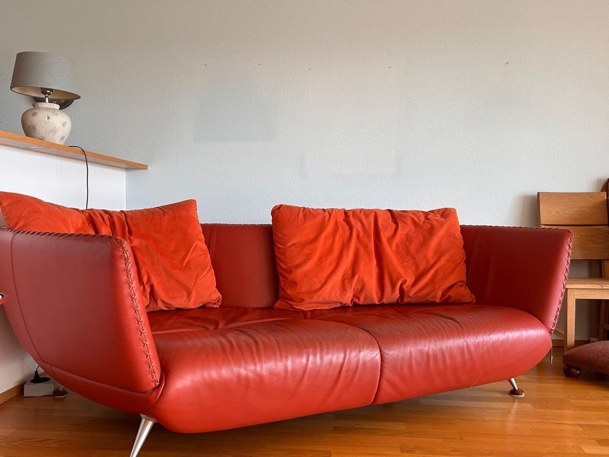 De Sede Divani: Sofa De Sede DS102 Shell rot Leder Mathias Hoffmann – Usato da Seengen venduto da murmelo