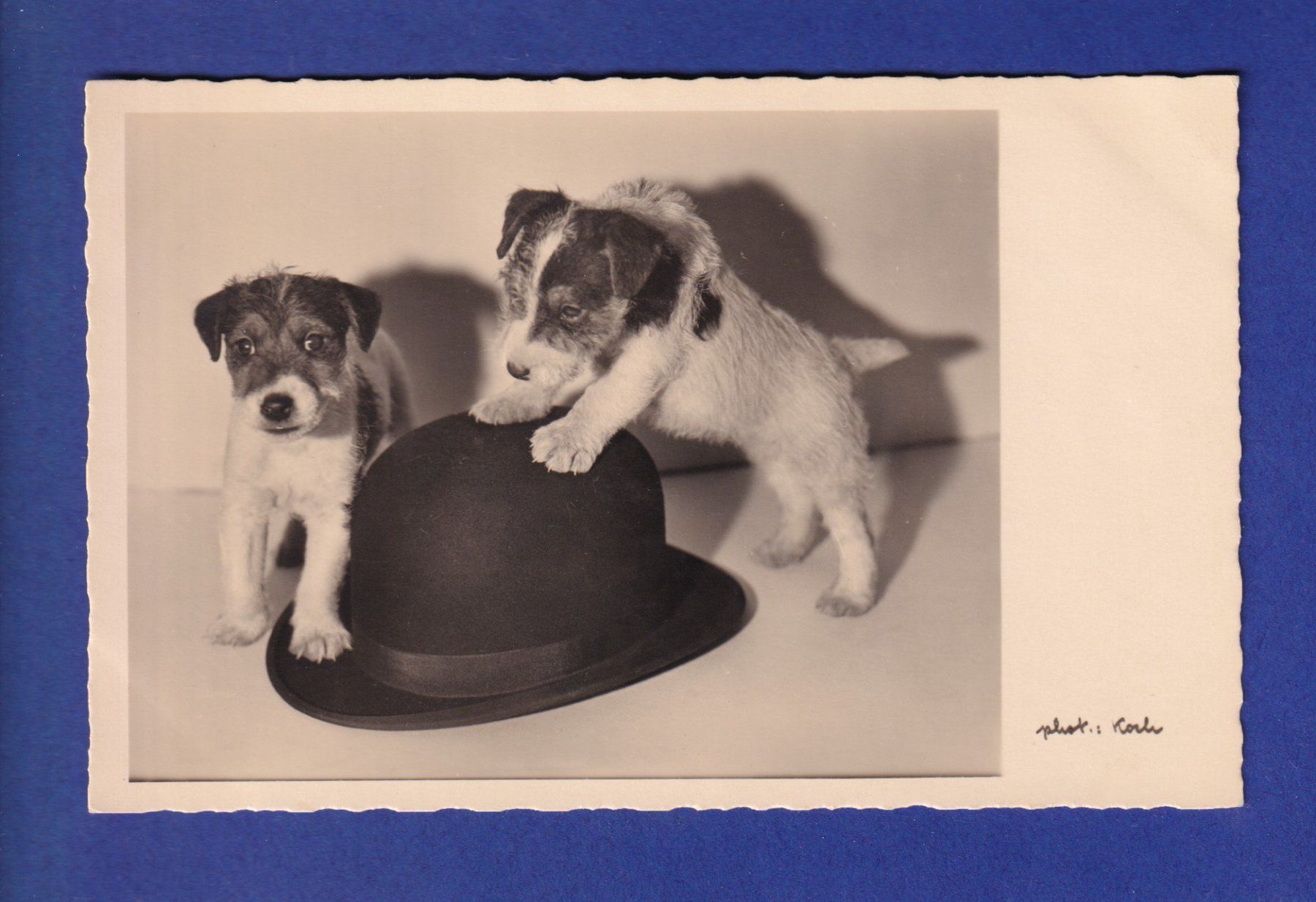 Cartoline postali: CHIEN / HUND – Usato da Pully venduto da nicecards-shop