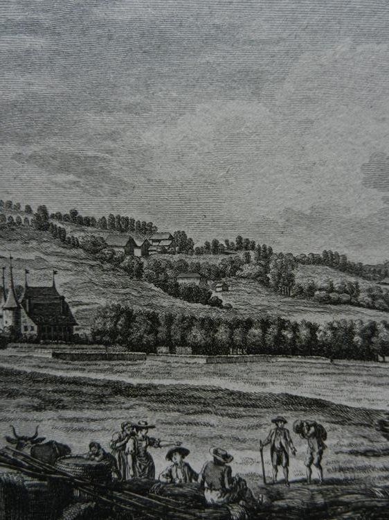 Incisioni: Vue du château Riggisberg – Usato da Risch venduto da Rischli15 6