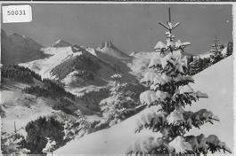 Adelboden - Hörnliweg im Winter - Photo: E. Gyger