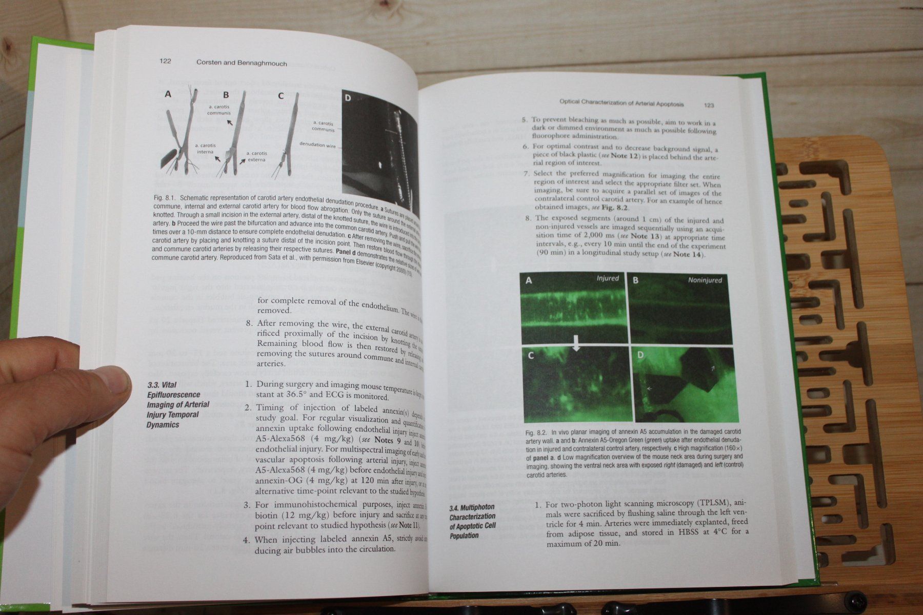 Livres: Molecular Imaging - Methods and Protocols-Shah, Khalid – D'occasion à Kaden par Buchantiquariat 3