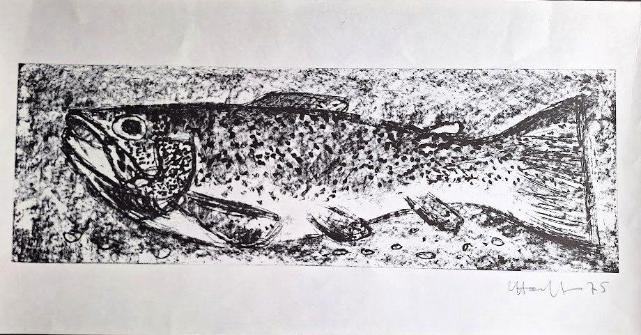 Grafiken & Lithographien: Fisch, Lithografie von L Häfliger 75 – Gebraucht aus Alpnach Dorf von MZ001