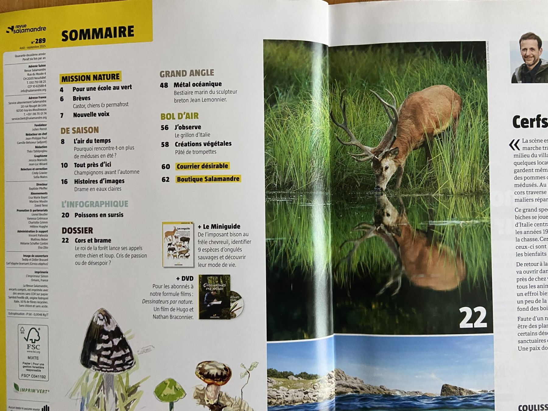 Riviste & Magazine: Revue Salamandre : Collection complète printemps en nature! – Nuovo (secondo la descrizione) da Neuchâtel venduto da marevecor 5