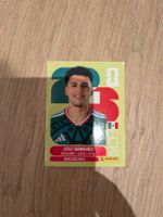 Panini Bild MEX 4