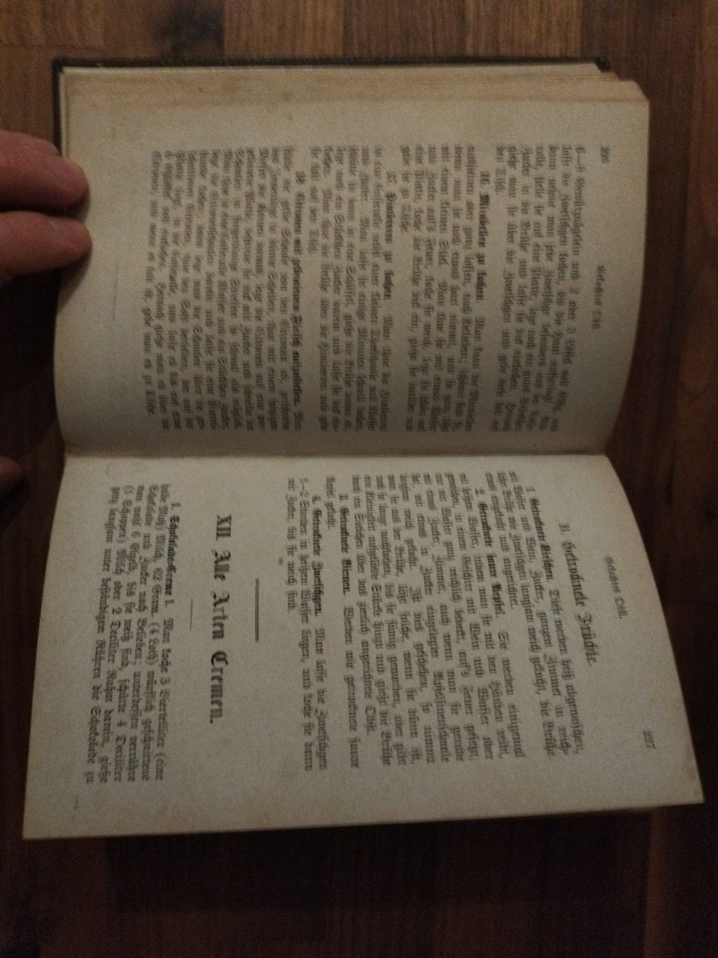 Libri: Kochbuch antik 1877 – Usato da Felben-Wellhausen venduto da bananajoe8474 5