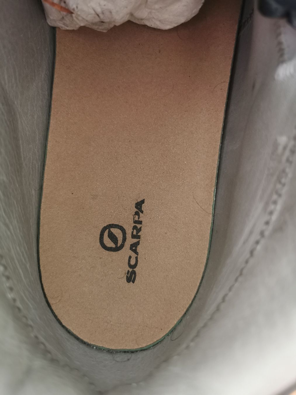 Scarpa Scarpe da uomo: Scarpa Zodiac Trek  Berge 44.5 Orginal – Nuovo (secondo la descrizione) da Bern venduto da ged_ffx9 5