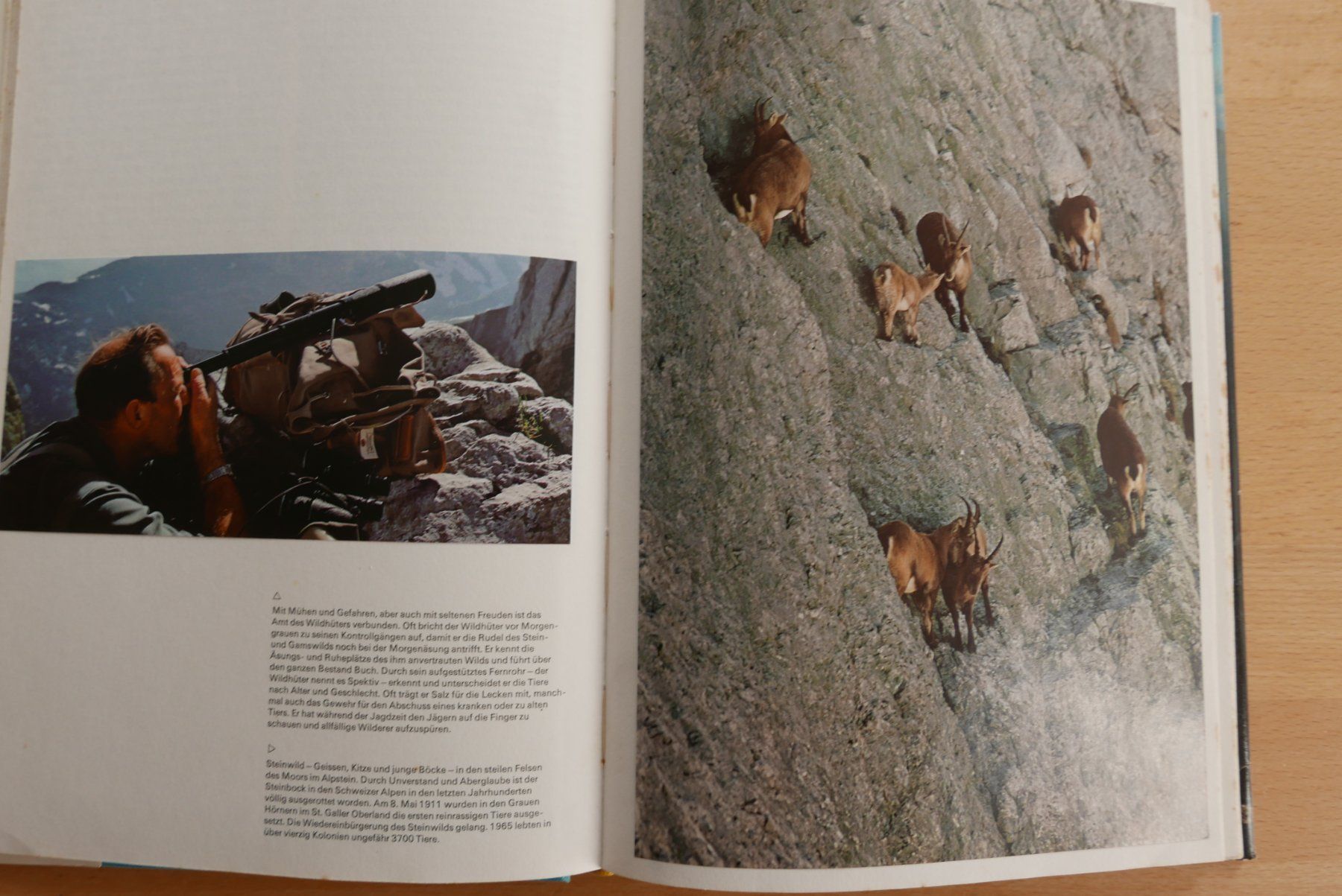 Libri: Buch Lockende Berge – Usato da Rotkreuz venduto da nigal 7