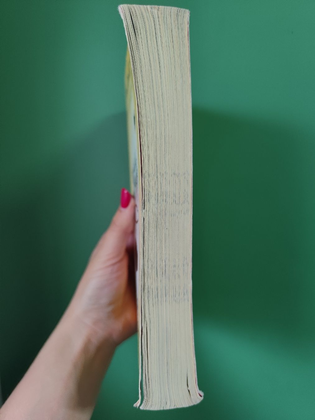 Libri: Fraillon The Bone Sparrow Book - Kids Summer Read – Usato da Mägenwil venduto da VintageGirly 1