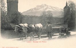 Luzern LU Museggmauer Pilatus Bauern Ochsen Wagen
