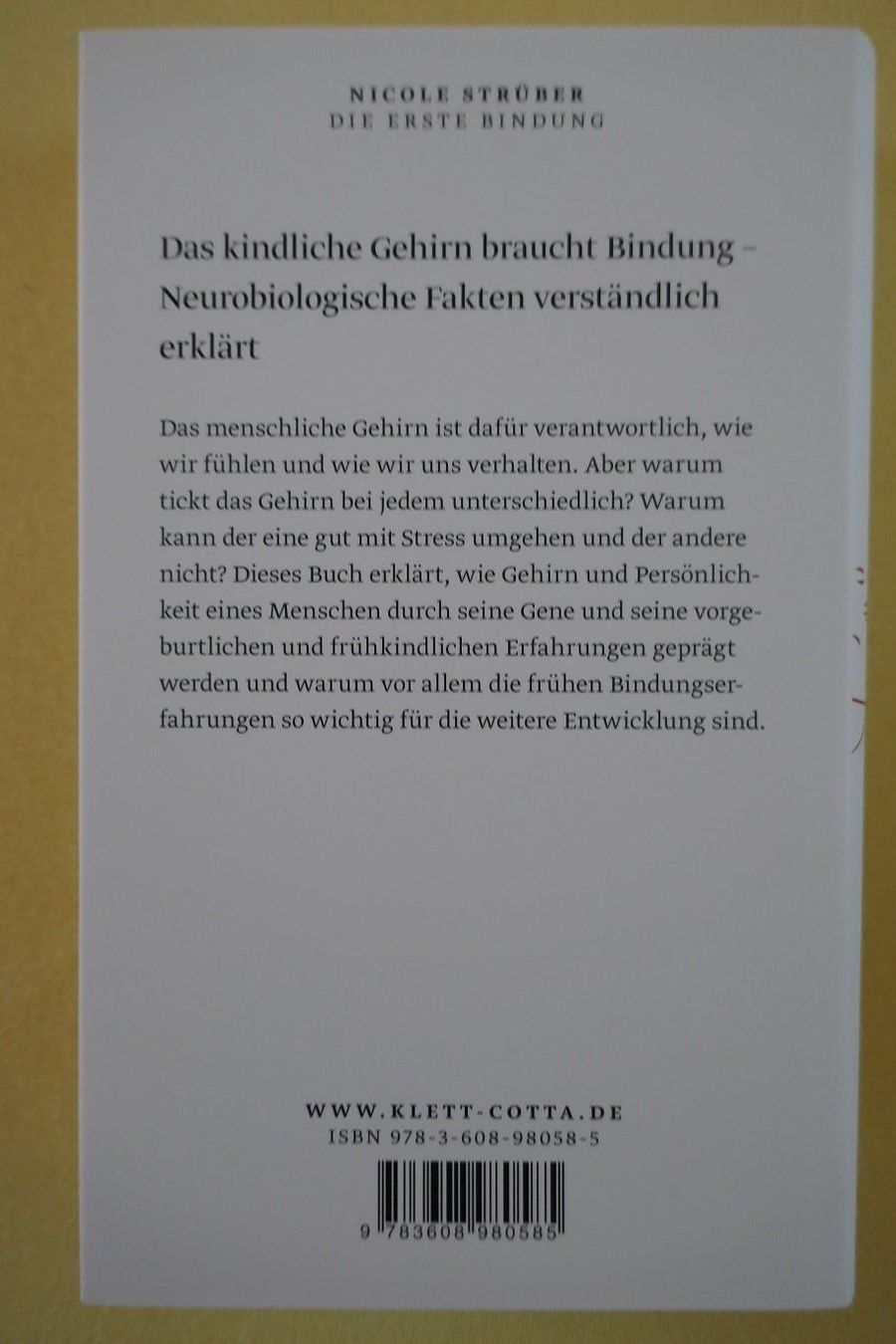 Libri: Neuwertig: Nicole Strüber Erste Bindung – Nuovo (secondo la descrizione) da Horgen venduto da Feli39 1