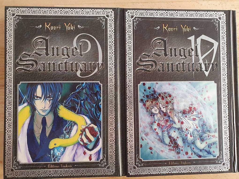 Comics: Angel Sanctuary édition deluxe complète – Gebraucht aus Neuchâtel von axe_rq7r 2