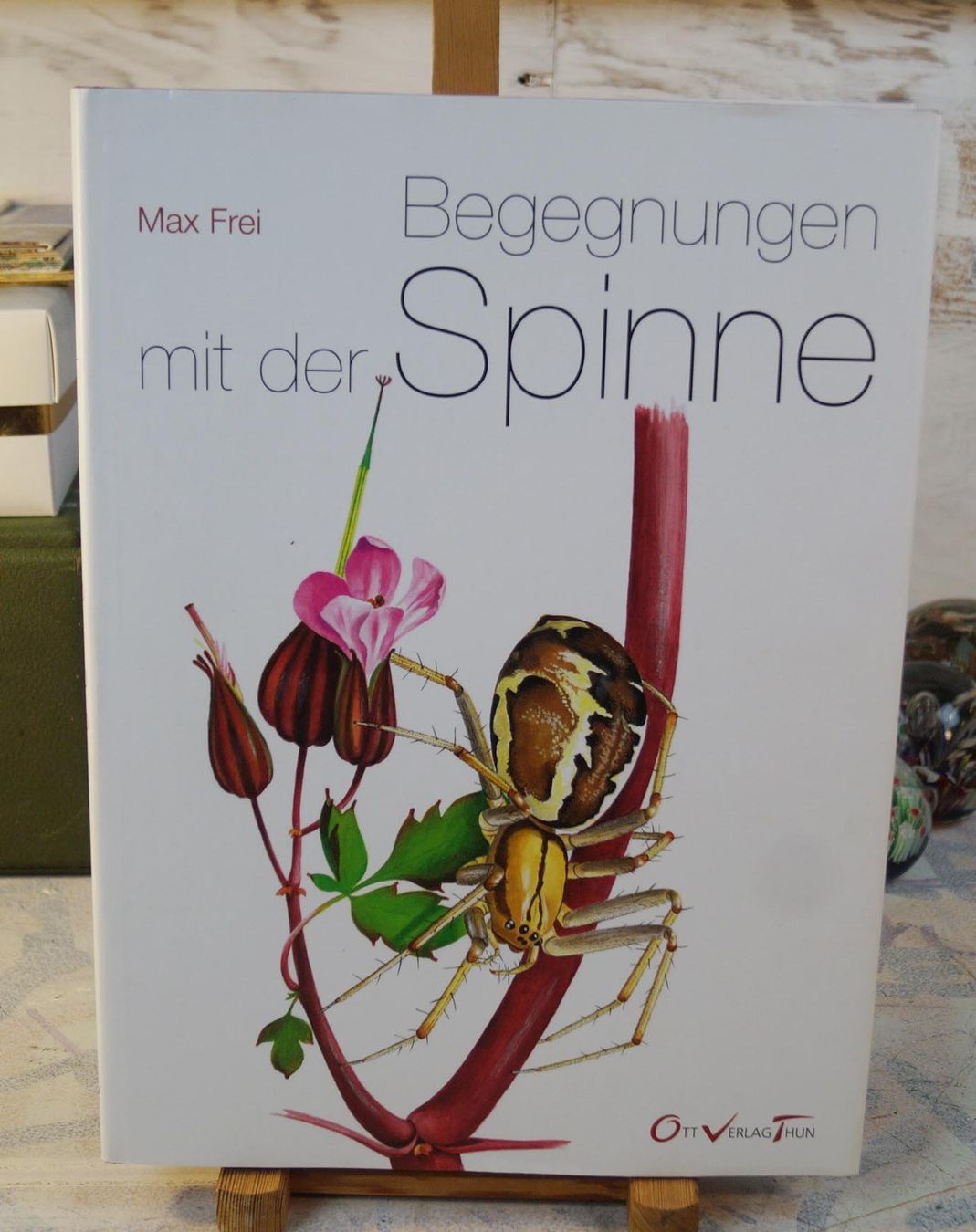 Bücher: Seltenes Spinnenbuch "Begegnungen mit der Spinne" Max Frei – Gebraucht aus Härkingen von sammelbecken 1