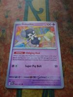 POKEMON  Indeedee   H  SSP EN  093/191  HP100  2024