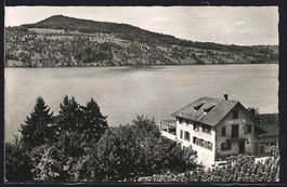 Meisterschwanden am Hallwilersee, Restau