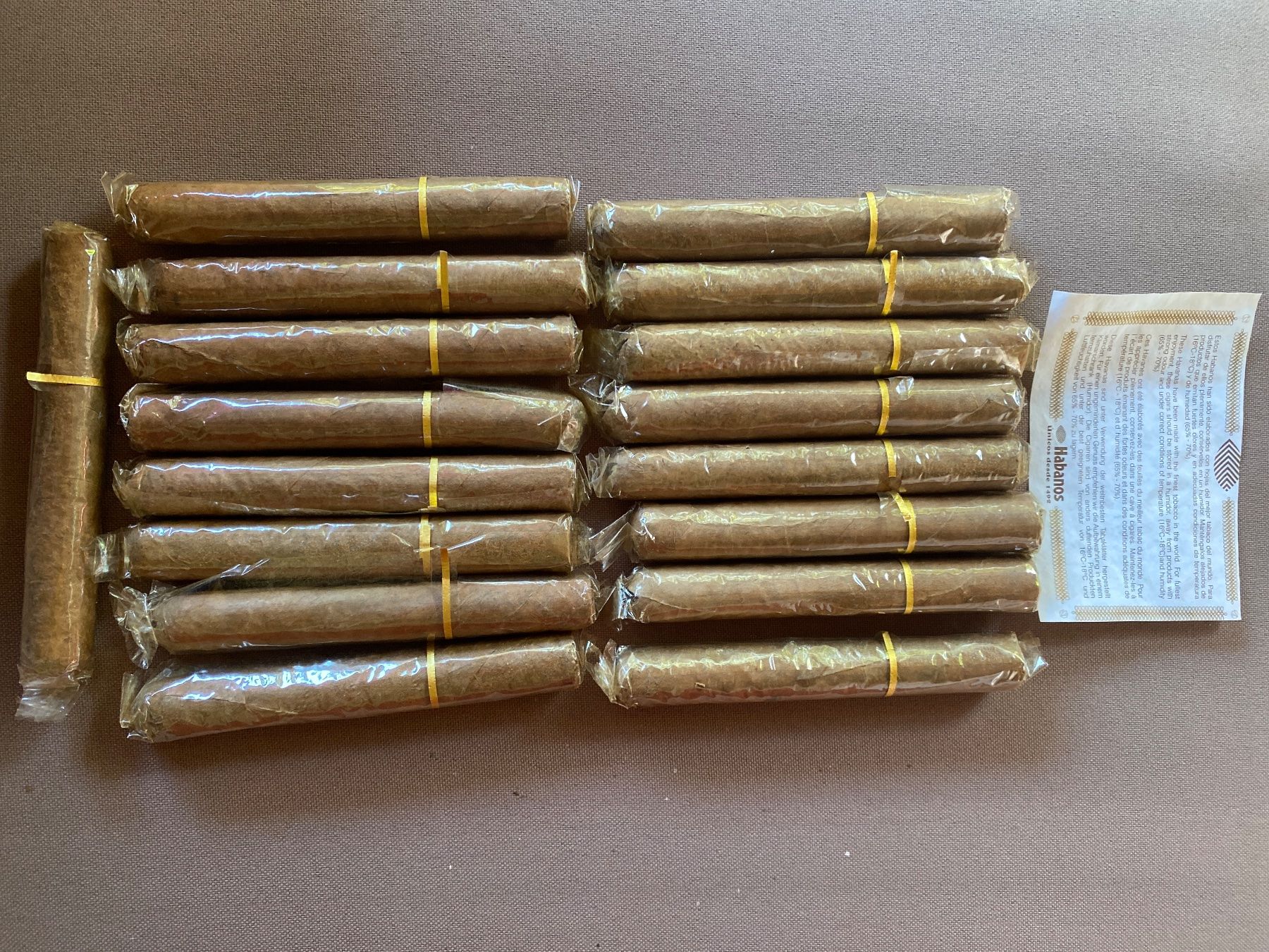 Sigari: 15 Cigarren – Usato da Sursee venduto da lucialiani