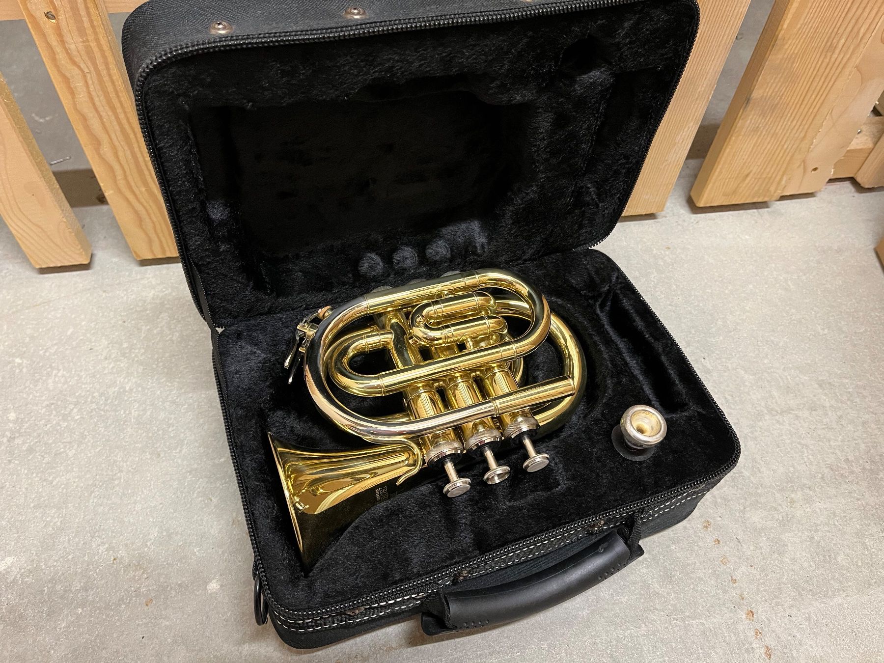 Strumenti musicali: Taschen-Trompete Roy Benson – Usato da Niederwangen venduto da spaghettichopf 2